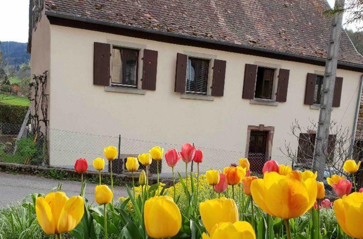 Petit Week End Dans La Vallee Breitenbach-Haut-Rhin Bagian luar foto
