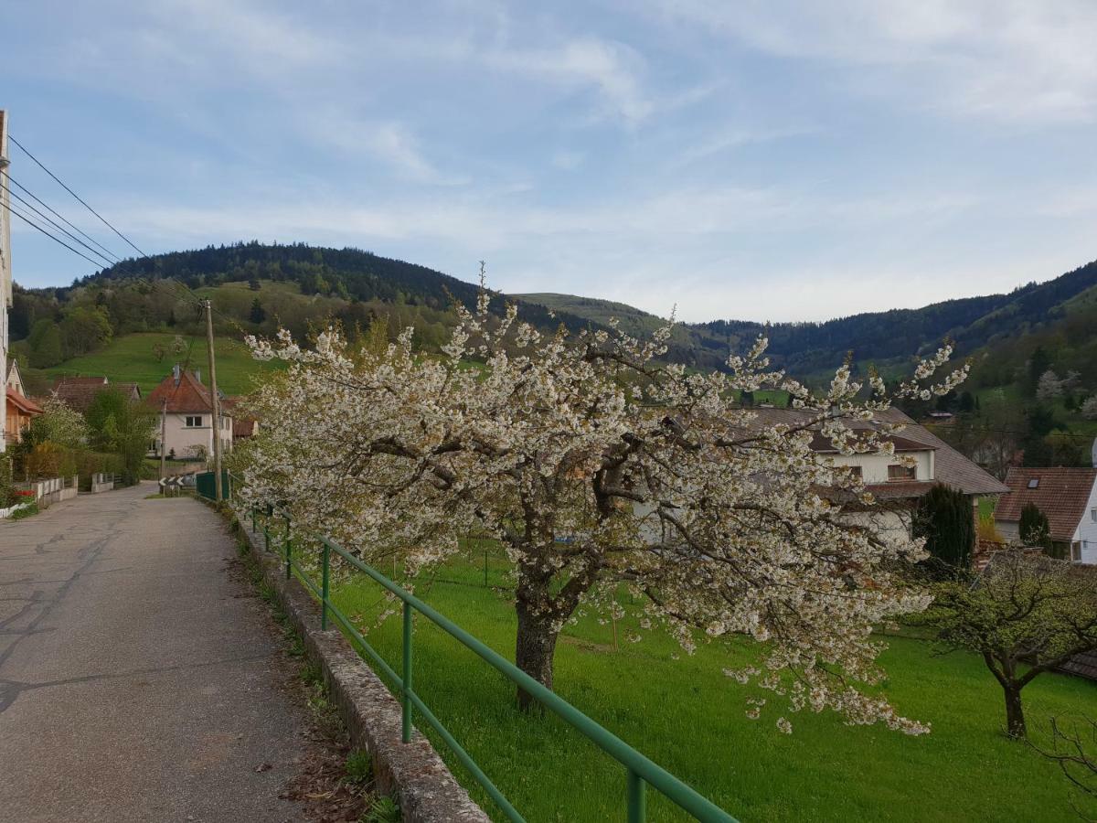 Petit Week End Dans La Vallee Breitenbach-Haut-Rhin Bagian luar foto