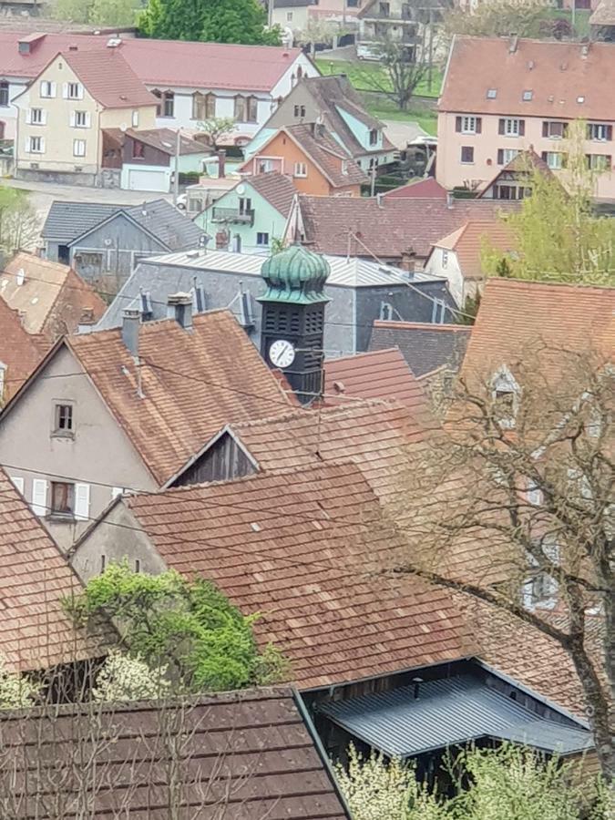 Petit Week End Dans La Vallee Breitenbach-Haut-Rhin Bagian luar foto