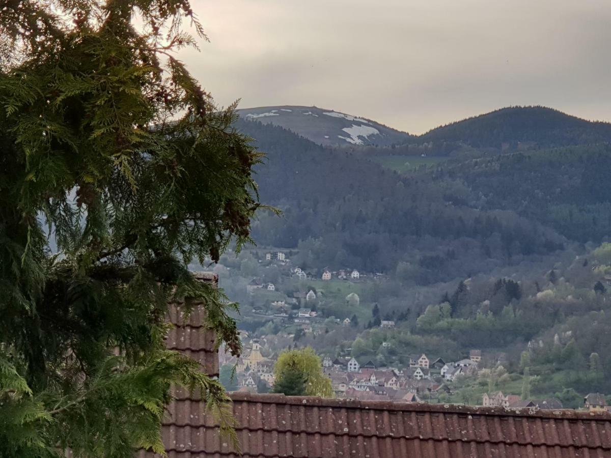Petit Week End Dans La Vallee Breitenbach-Haut-Rhin Bagian luar foto