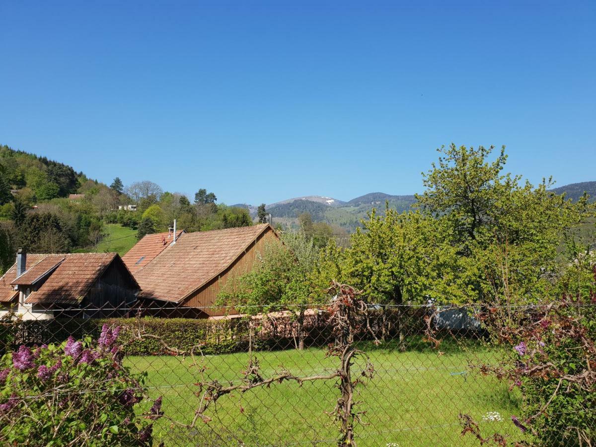 Petit Week End Dans La Vallee Breitenbach-Haut-Rhin Bagian luar foto