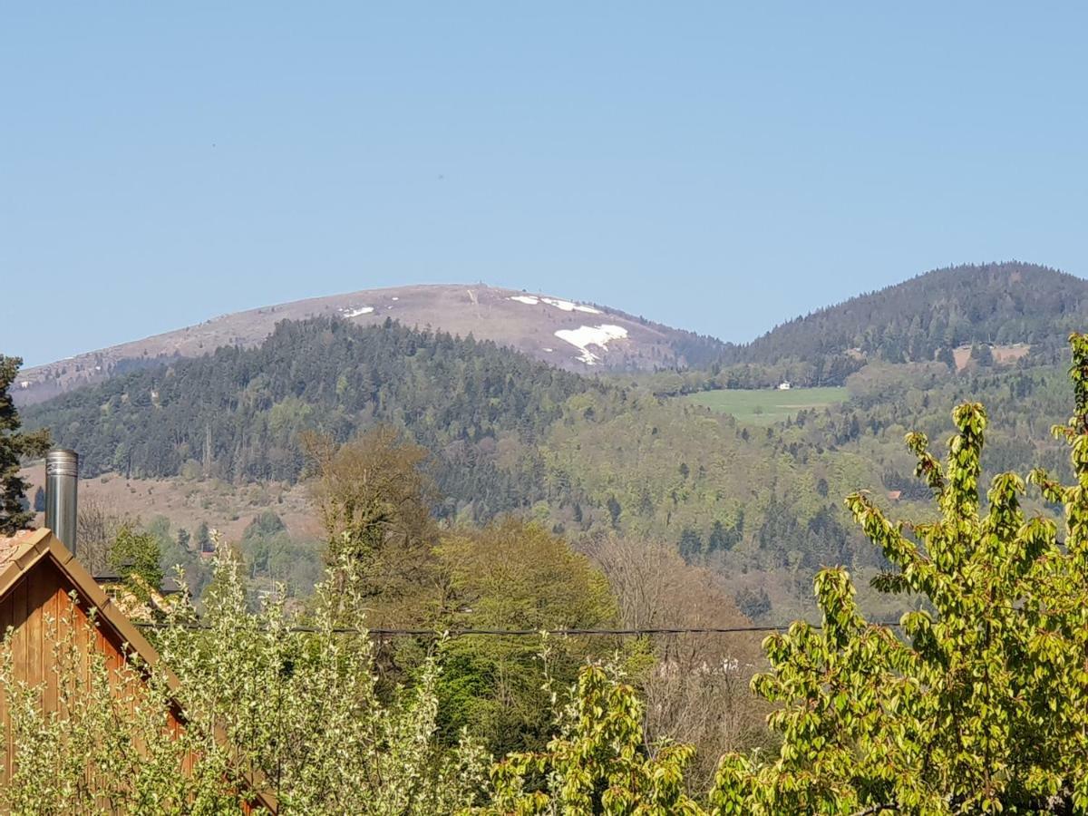 Petit Week End Dans La Vallee Breitenbach-Haut-Rhin Bagian luar foto