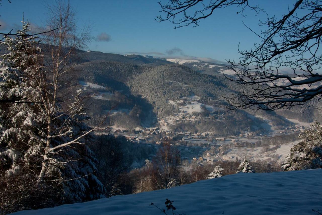 Petit Week End Dans La Vallee Breitenbach-Haut-Rhin Bagian luar foto
