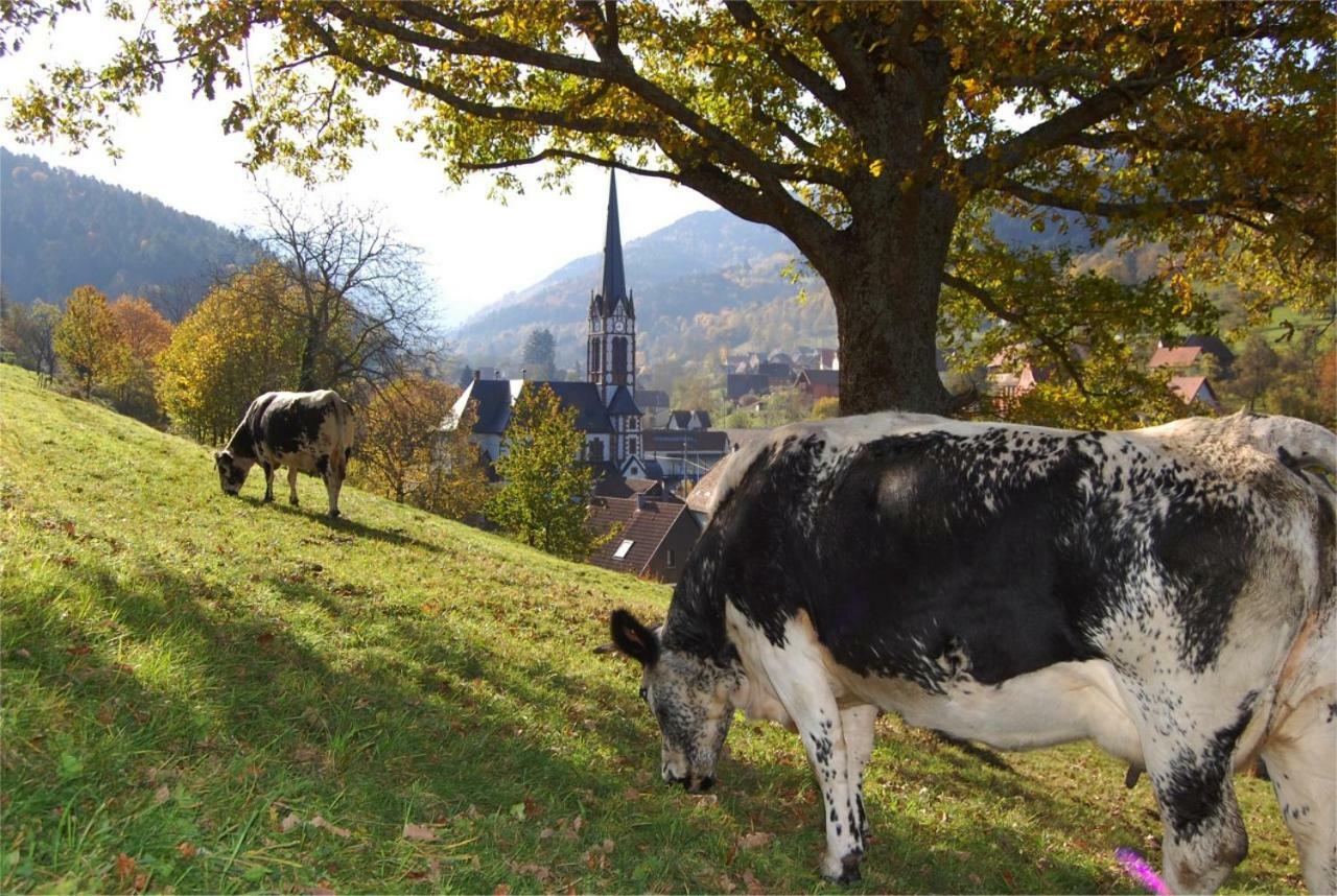 Petit Week End Dans La Vallee Breitenbach-Haut-Rhin Bagian luar foto