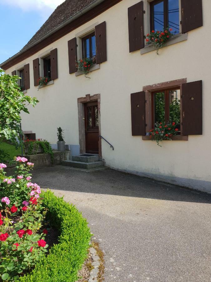 Petit Week End Dans La Vallee Breitenbach-Haut-Rhin Bagian luar foto