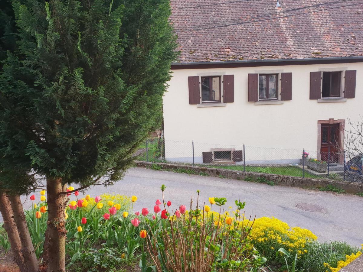 Petit Week End Dans La Vallee Breitenbach-Haut-Rhin Bagian luar foto